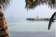 Immagine di 2024/'25 | Belize | Noleggio in esclusiva catamarano con skipper e hostess | Catana 50 | 