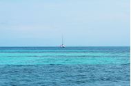 Immagine di 2024/'25 | Belize | Noleggio in esclusiva catamarano con skipper e hostess | Catana 50 | 